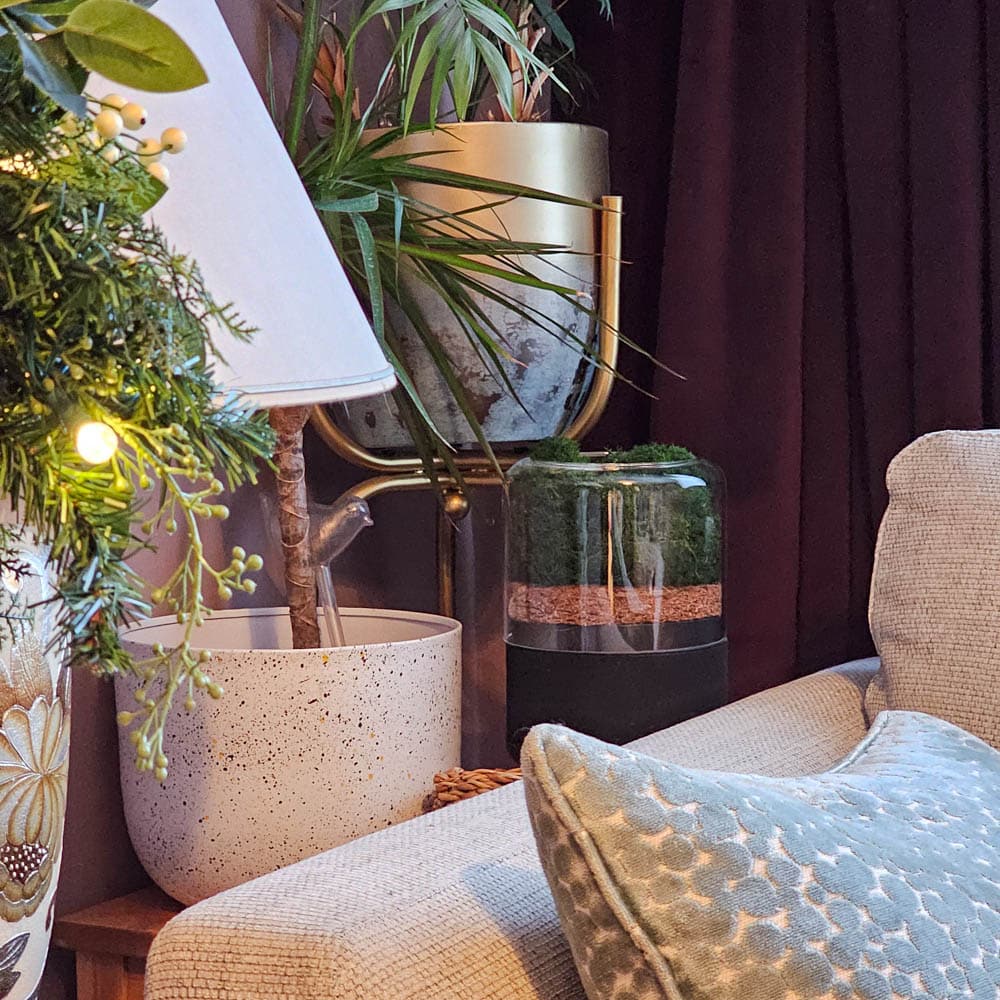 A cosy corner with a textured light blue cushion on a beige sofa, houseplants in decorative pots, a Briiv Air Purifier beside a glass terrarium with moss, and a tall lamp with a white shade, all set against dark curtains.