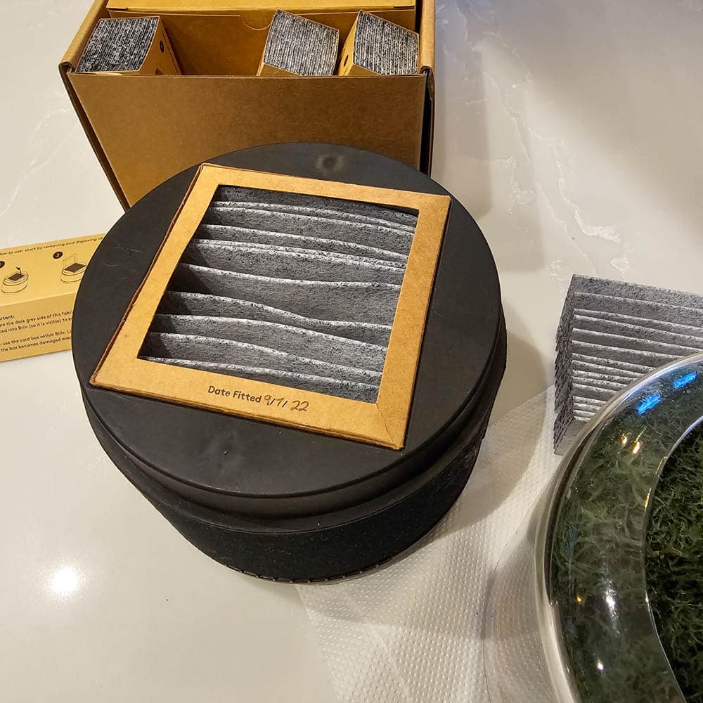 A black round container with a square opening shows stacked grey filters, next to a cardboard box holding more filters. A glass bowl with moss and a paper towel are nearby on a light worktop—perfect for a Briiv Air Purifier review.