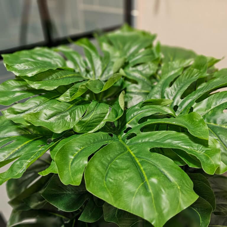 Close-up of lush, green monstera leaves with characteristic splits and holes, perfect for bathroom décor or home improvement projects. Displayed indoors near a window with a blurred background, these artificial plants add vibrant life to any space.