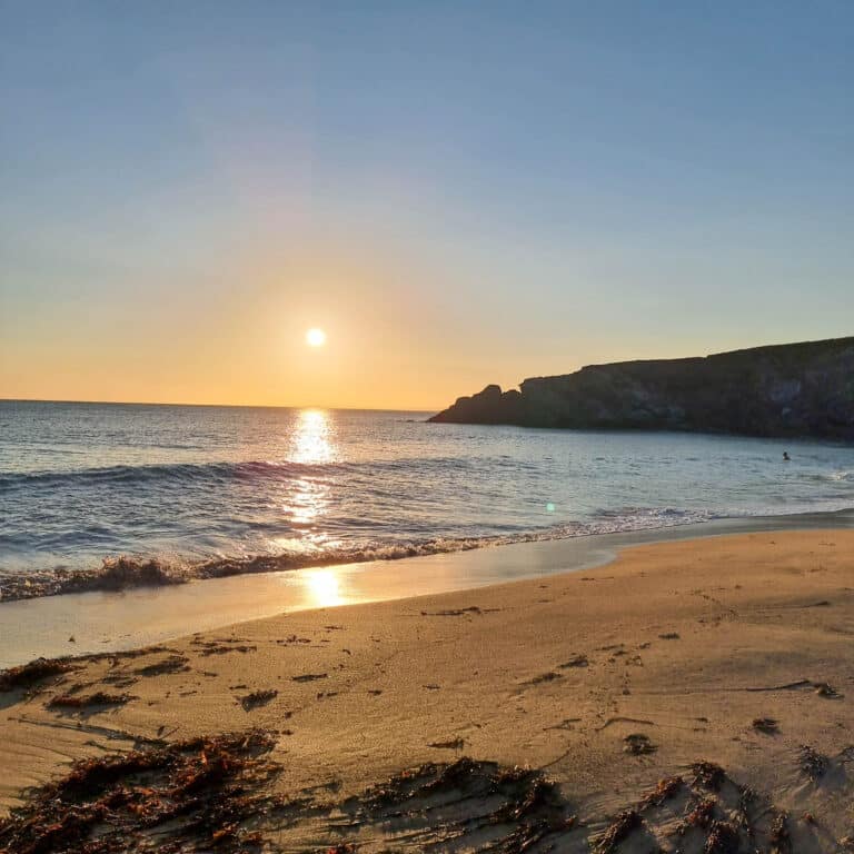 Golden sunset over a calm ocean, gentle waves on a sandy beach scattered with seaweed. Distant cliffs under clear skies hint at hidden Mallorca attractions and unique activities waiting to be explored along the coast.