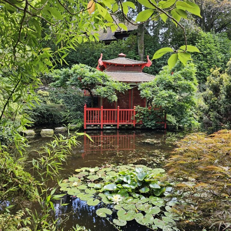A red wooden gazebo with a curved roof, featuring Japanese Burnt Wood Cladding, stands beside a pond filled with lily pads, surrounded by lush green trees and plants in a peaceful garden setting.