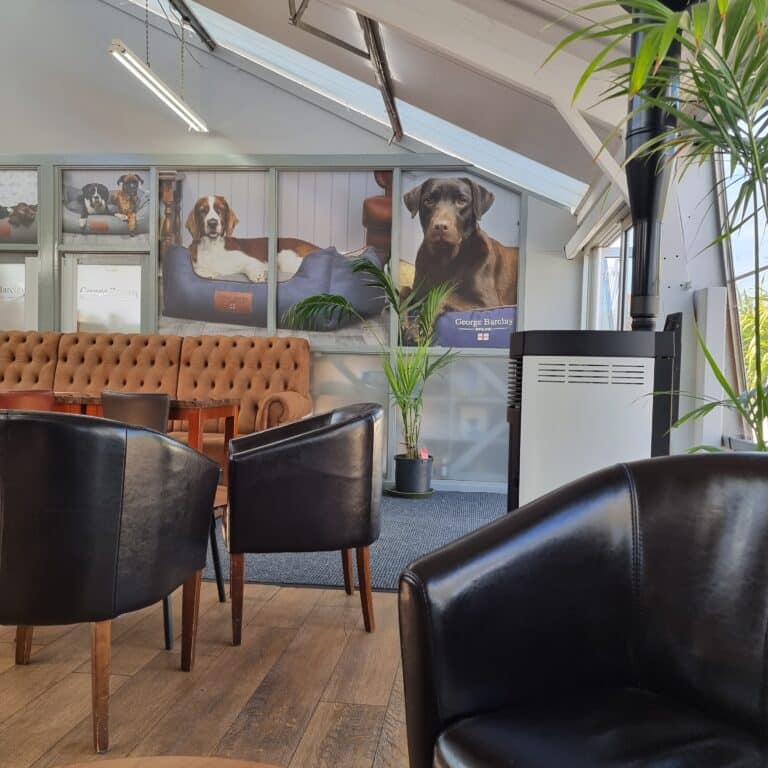 A waiting area with black leather chairs, a brown tufted bench, potted plants, and large photos of dogs on the wall shows how to make a waiting room comfortable. Sunlight streams in from windows, creating a bright, welcoming atmosphere.