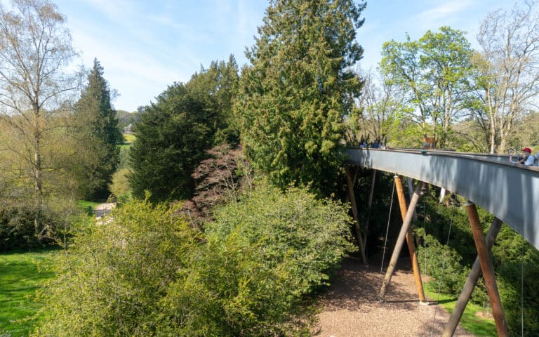 A treetop walkway supported by tall metal pillars curves through lush green trees, with families with different needs walking along it together under a bright blue sky.