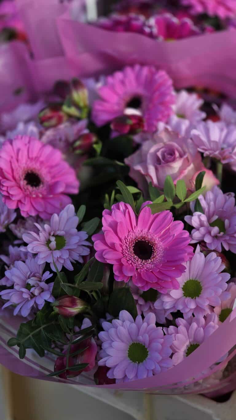 A close-up of a vibrant bouquet featuring bright pink gerbera daisies, lavender daisies, and a single lavender rose, arranged atop practical flooring and wrapped in light pink paper amid lush green leaves.