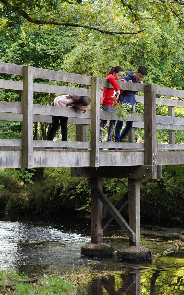 Three children lean over the railing of a wooden bridge, peering down into the water below, surrounded by lush green trees and foliage—a scene sure to make you feel nostalgic for carefree childhood days.