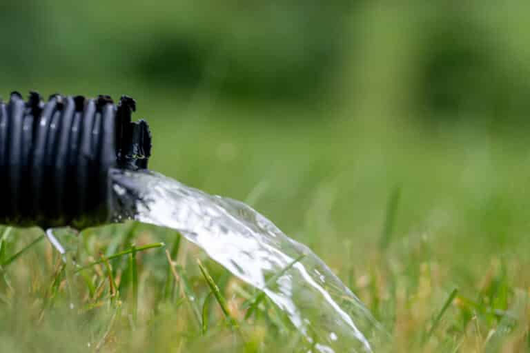 A close-up of water flowing out of a black corrugated pipe onto green grass, with a blurred background—a common sight near many Oswego County homes where a sump pump helps protect the home foundation from excess water.