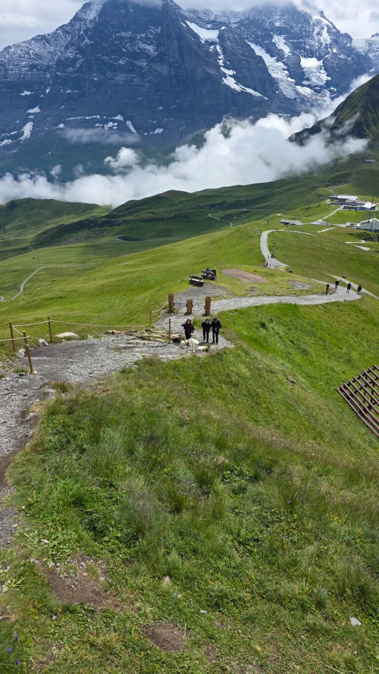 Three people and a dog walk along a dirt path on a green mountain ridge below a snow-capped peak, a scene to consider before starting orthodontic treatment.